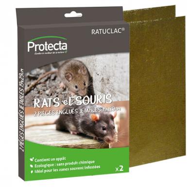 Plaque avec glue et attractif pour rats et souris.