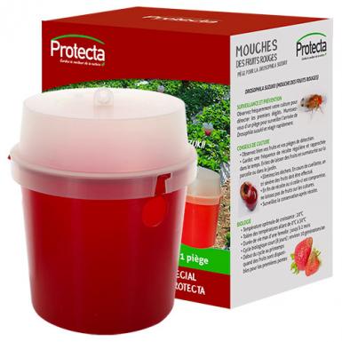 Red Fruit Fly Trap - Without Attractive Product