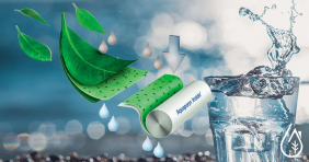 Aquaporin Biomimetic Membrane: How does it work?