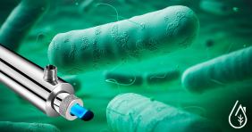 Is the sterilizer effective against coliform bacteria?