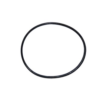 O-ring Soporte del filtro 10 pulgadas