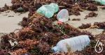 ¿Cómo reducir el impacto de las botellas de plástico?