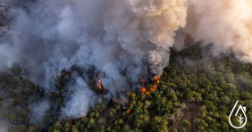 Incendio forestal: ¿puede verse afectada el agua potable?