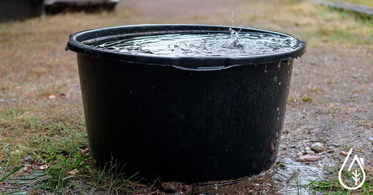 Quels sont les types de réservoirs pour récupérer l'eau de pluie ?