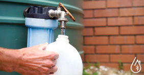 Filtrer l'eau de pluie avant de la consommer dans la maison.